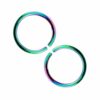 2-pack Regnbåge Fake Piercing Öron Läpp Näsring Septum Läppring