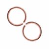 2-pack Roséguld Fake Piercing Öron Läpp Näsring Septum Läppring
