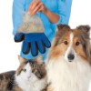Borsthandske för djur - höger hand borsthandske för hund, katt och husdjur