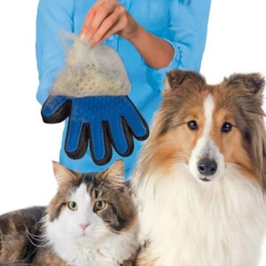 Borsthandske för djur - höger hand borsthandske för hund, katt och husdjur