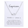 Gåvoarmband Stjärntecken Stenbocken Capricorn Armband Silver
