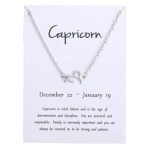 Gåvoarmband Stjärntecken Stenbocken Capricorn Armband Silver