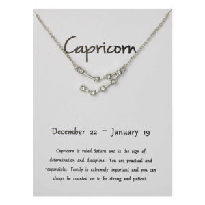Stjärntecken Halsband Stenbocken Capricorn Gåvohalsband Silver