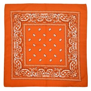 Bandana scarf sjal snusnasduk paisleymonster orange