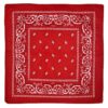Bandana scarf sjal snusnäsduk paisleymönster röd