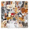 50-pack Hund Klistermärken