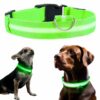Lysande LED Hundhalsband Grön