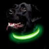 Lysande led hundhalsband grön