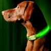 Lysande led hundhalsband grön