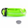 Lysande led hundhalsband grön