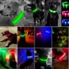 Lysande led hundhalsband grön