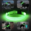 Lysande led hundhalsband grön