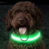 Lysande led hundhalsband grön