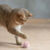 Smart automatisk rullande boll | interaktiv hund- och kattleksak