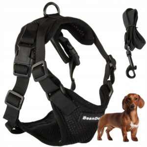 Mjukt och Tryckfritt Hundsele med Reflexdetaljer för Mindre Hundar M Svart