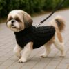 Stickad tröja för hund och katt l svart