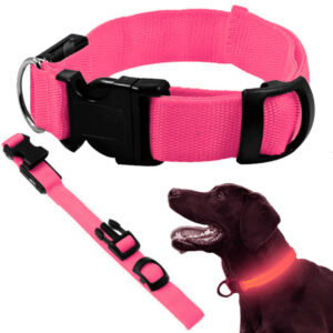LED-halsband för Hund och Katt Justerbart 36–59 cm Rosa