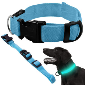 LED-halsband för Hund och Katt Justerbart 36–59 cm Blå