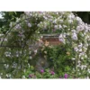 Trädgårdsbåge i metall för klätterväxter – pergola för rosor & murgröna 235cm