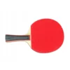 Pingis set – 2 racketar, 3 bollar & fodral | bordtennis set för hem, skola & resa