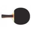 Pingis set – 2 racketar, 3 bollar & fodral | bordtennis set för hem, skola & resa