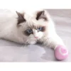 Interaktiv boll för katt & hund – elektrisk led leksak med usb-laddning