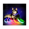 Led-halsband för hund och katt justerbart 36–59 cm röd