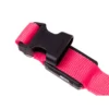 Led-halsband för hund och katt justerbart 36–59 cm rosa
