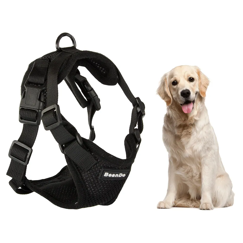 Mjukt och tryckfritt hundsele med reflexdetaljer xl svart - bild 2