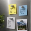 Neodymmagneter 16-pack för kylskåp och whiteboard