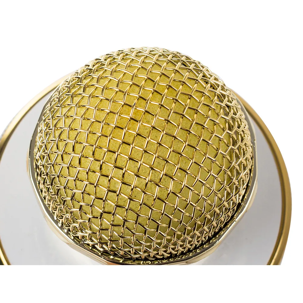 Trådlös bluetooth karaoke mikrofon & högtalare med röstförvrängare guld - bild 5