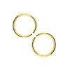 2-pack Guld Fake Piercing Öron Läpp Näsring Septum Läppring