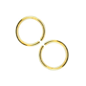 2-pack Guld Fake Piercing Öron Läpp Näsring Septum Läppring