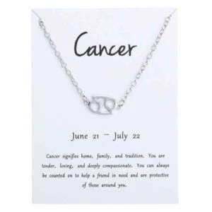 Gåvoarmband Stjärntecken Kräftan Cancer Armband Silver