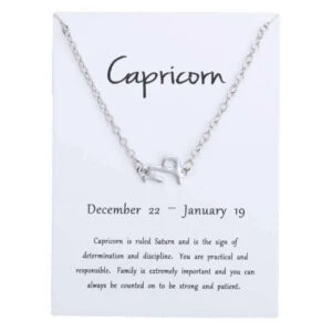 Gåvoarmband Stjärntecken Stenbocken Capricorn Armband Silver