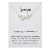 Stjärntecken Halsband Skorpionen Scorpio Gåvohalsband Silver