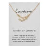 Stjärntecken Halsband Stenbocken Capricorn Gåvohalsband Guld