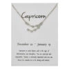 Stjärntecken Halsband Stenbocken Capricorn Gåvohalsband Silver