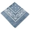 Bandana Scarf Sjal Snusnäsduk Paisleymönster Grå