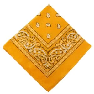 Bandana Scarf Sjal Snusnäsduk Paisleymönster Ljus Orange