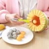Sked för bollar av melon, frukt och glass - melonskopa - glasskopa
