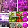 Led växtbelysning - dubbel full spektrum växtlampa med klämma