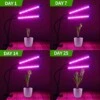 Led växtbelysning - dubbel full spektrum växtlampa med klämma