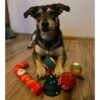 Julklappsset för hund 6st hundleksaker