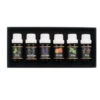 6-pack eteriska oljor | eukalyptus, apelsin, tea tree, mynta, lavendel och tall 10ml