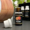 6-pack eteriska oljor | eukalyptus, apelsin, tea tree, mynta, lavendel och tall 10ml