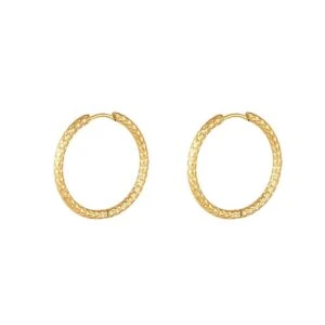 Mönstrade Örhängen i Rostfritt Stål M Guld