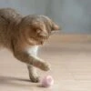 Smart automatisk rullande boll | interaktiv hund- och kattleksak