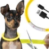 Uppladdningsbart Hundhalsband med LED Belysning